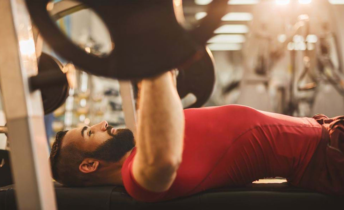 Bulk- und Cut-Training